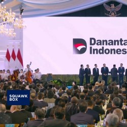 Video: Struktur Lengkap Danantara Bakal Diumumkan Minggu Depan