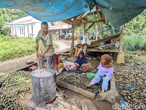 Curhat Ade Perajin Kolang-kaling di Ciamis yang Kesulitan Bahan Baku