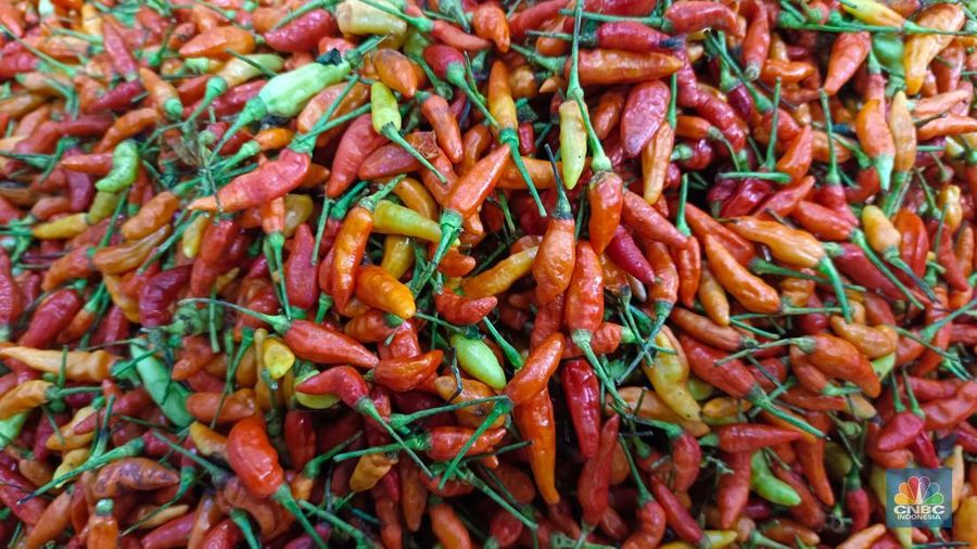 Cabai rawit merah di Pasar Rumput, Jakarta Selatan. (CNBC Indonesia/Martyasari Rizky)