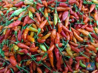 Bos Bapanas Yakin 3 Minggu Lagi Harga Cabai Rawit Turun, Ini Alasannya