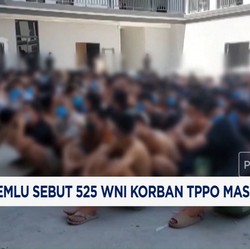 Video: Kemlu Sebut 525 WNI Korban TPPO Masih di Myanmar