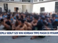 Video: Kemlu Sebut 525 WNI Korban TPPO Masih di Myanmar