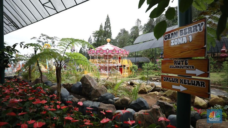 Gubernur Jawa Barat, Dedi Mulyadi Pimpin Bongkar Bangunan di Wisata Hibisc Puncak Hari Ini. (վ/Tri Susilo)