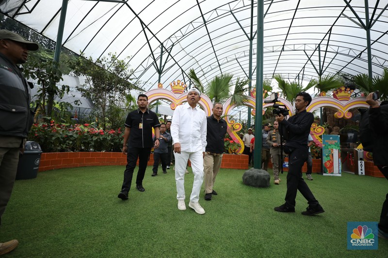 Gubernur Jawa Barat, Dedi Mulyadi Pimpin Bongkar Bangunan di Wisata Hibisc Puncak Hari Ini. (CNBC Indonesia/Tri Susilo)