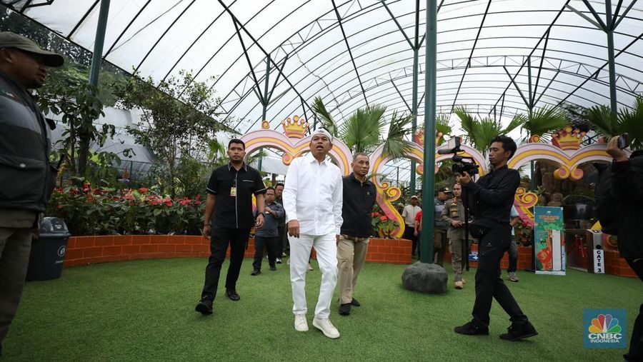 Gubernur Jawa Barat, Dedi Mulyadi Pimpin Bongkar Bangunan di Wisata Hibisc Puncak Hari Ini. (CNBC Indonesia/Tri Susilo)