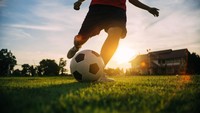 Mau Buka Usaha Sewa Lapangan Mini atau Alat Futsal buat Event? Gawang Ini Modal Awalnya