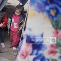 Video: Indonesia Tegas Tolak Relokasi Warga Gaza
