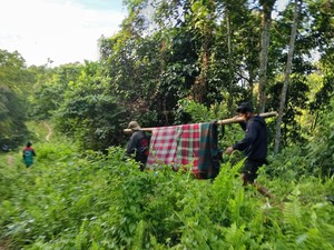 Lansia Sakit Perut Ditandu 13 Km ke Puskesmas gegara Jalan Rusak di Polman