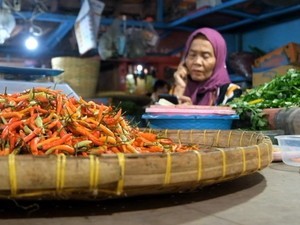 Video: Harga Cabai Rawit Makin Pedas, Tembus Rp 130 Ribu/Kg di Probolinggo