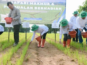 Solusi untuk Swasembada Pangan Meski di Lahan Kering