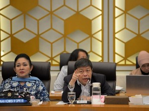 Waka Komisi IV DPR: Warga Manfaatkan Kayu Banjir Sumatera Butuh Payung Hukum