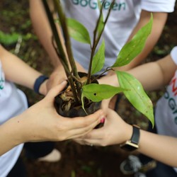 BNI Jadi Satu-satunya Bank Asal RI Peraih Asia Sustainability Award