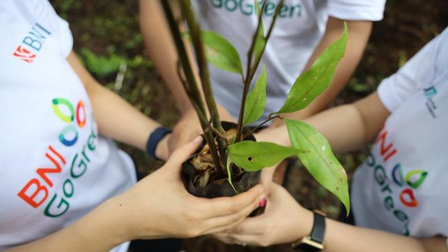 BNI Jadi Satu-satunya Bank Asal RI Peraih Asia Sustainability Award