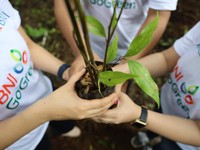 BNI Jadi Satu-satunya Bank Asal RI Peraih Asia Sustainability Award