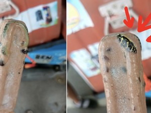 Geli! Ada Ular Beku dalam Es Krim yang Dimakan Pria Ini