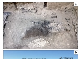 Misteri Otak Kaca Korban Letusan Gunung Vesuvius di Herculaneum