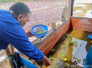 Dukung Ketahanan Pangan, Satpolairud Polres Situbondo Tebar Bibit Lele