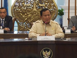 Prabowo Ingin Danantara Bergerak Cepat, Tapi Teliti dan Hati-hati