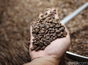 96 Ton Kopi Asal Subang Terbang ke Aljazair