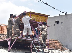 Judi Merpati Saat Ramadan, 7 Bekupon di Surabaya Dibongkar Satpol PP