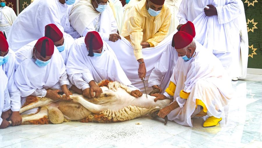 Ilustrasi kurban di Maroko. (Moroccan Royal Palace via AP)