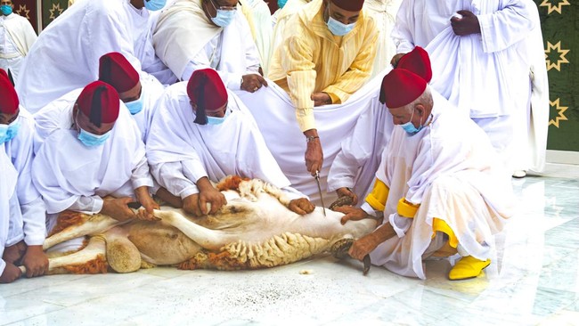 Cara Nabung Hewan Kurban Tiap Tahun: Tips Konsisten dan Anti Gagal