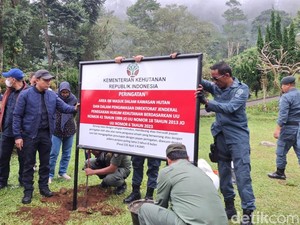 Pemilik Vila di Lahan Hutan Bogor Terancam 10 Tahun Penjara-Denda Rp 5 M