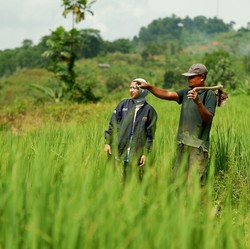 Awal 2025, BRI Telah Salurkan KUR Rp 27,72 Triliun