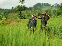 Awal 2025, BRI Telah Salurkan KUR Rp 27,72 Triliun