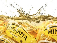 Bakal Ada Aturan Baru Penjualan Minyakita, Begini Bocoran Mendag