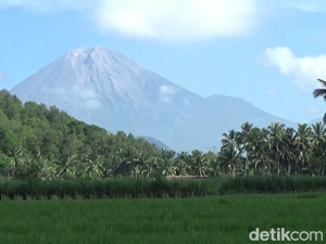 Gunung Semeru Erupsi Luncurkan Abu Vulkanik Setinggi 1.000 Meter