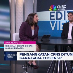 Video: Pengangkatan CPNS & PPPK Ditunda, Solusi Pemerintah Apa?
