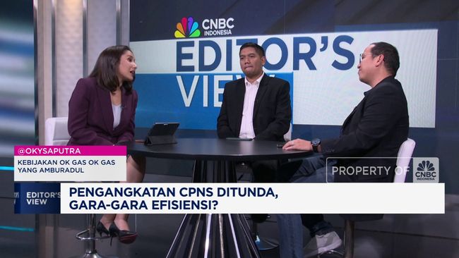 Pengangkatan CPNS & PPPK Ditunda, Solusi Pemerintah Apa?