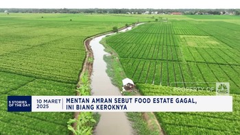Mentan Sebut Proyek Food Estate Bisa Gagal Jika Parsial & Tak Holistik
