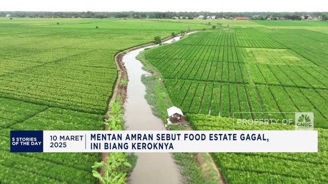 Mentan Sebut Food Estate Gagal