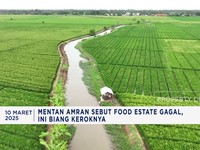 Mentan Sebut Proyek Food Estate Bisa Gagal Jika Parsial & Tak Holistik