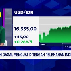 Video: Rupiah Gagal Menguat di Tengah Pelemahan Indeks Dolar AS