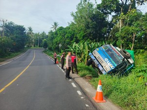 Gagal Nanjak di Jalan Denpasar-Gilimanuk, Truk Terperosok ke Kebun Warga