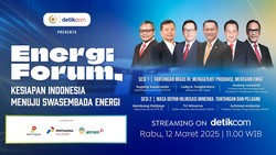 Diskusi Eksklusif Swasembada Energi,Tonton Streaming di detikcom!