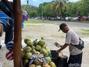 Berkah dari Kelapa Muda Pangandaran