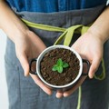 Jangan Dibuang! Ini 16 Cara Kreatif Memanfaatkan Ampas Kopi