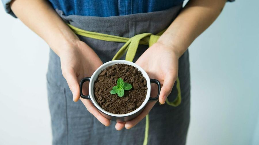Cara Kreatif Memanfaatkan Ampas Kopi
