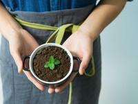 Jangan Dibuang! Ini 16 Cara Kreatif Memanfaatkan Ampas Kopi