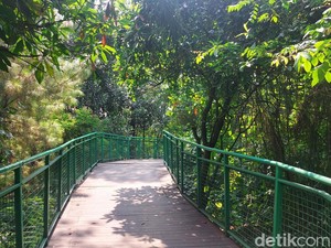 8 Rekomendasi Tempat Ngabuburit di Bandung, Gratis!