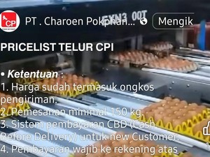 Hati-hati! Dugaan Penipuan Jual Telur Catut Perusahaan Besar di Medsos
