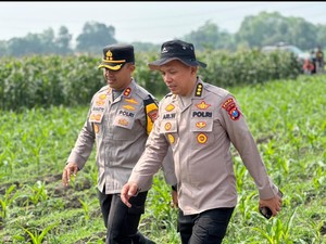 Kasatgas Ketahanan Pangan Polda Jatim Masifkan Pekarangan Pangan Lestari