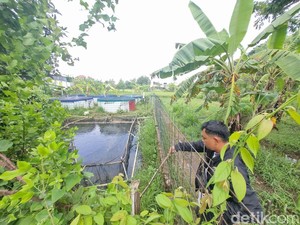 Ngeri! Pria Ponorogo Tembak Bocah yang Mancing di Kolam Ikannya