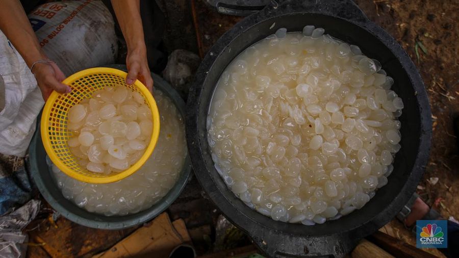 Pedagang menjuak kolang-kaling yang dijual di Pasar Induk Kramat Jati, Jakarta, Rabu (12/3/2025). Penjualan kolang-kaling yang menjadi salah satu menu untuk berbuka puasa mengalami penurunan dibanding bulan Ramadan tahun lalu. (CNBC Indonesia/Faisal Rahman)