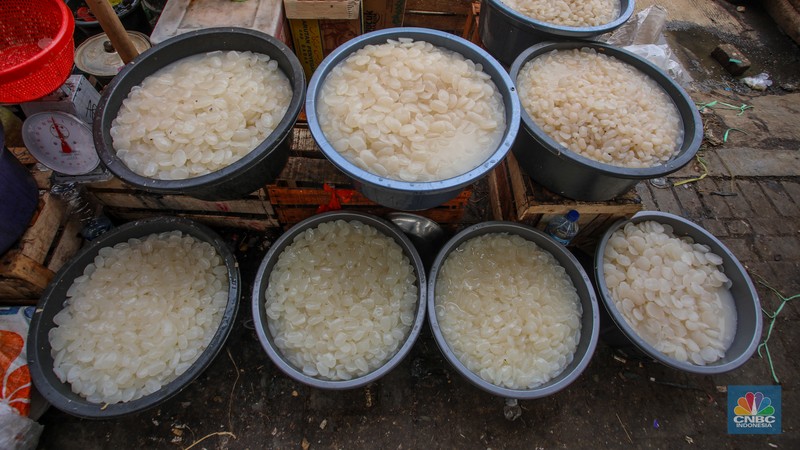 Pedagang menjuak kolang-kaling yang dijual di Pasar Induk Kramat Jati, Jakarta, Rabu (12/3/2025). Penjualan kolang-kaling yang menjadi salah satu menu untuk berbuka puasa mengalami penurunan dibanding bulan Ramadan tahun lalu. (CNBC Indonesia/Faisal Rahman) Pedagang menjuak kolang-kaling yang dijual di Pasar Induk Kramat Jati, Jakarta, Rabu (12/3/2025). Penjualan kolang-kaling yang menjadi salah satu menu untuk berbuka puasa mengalami penurunan dibanding bulan Ramadan tahun lalu. (CNBC Indonesia/Faisal Rahman)