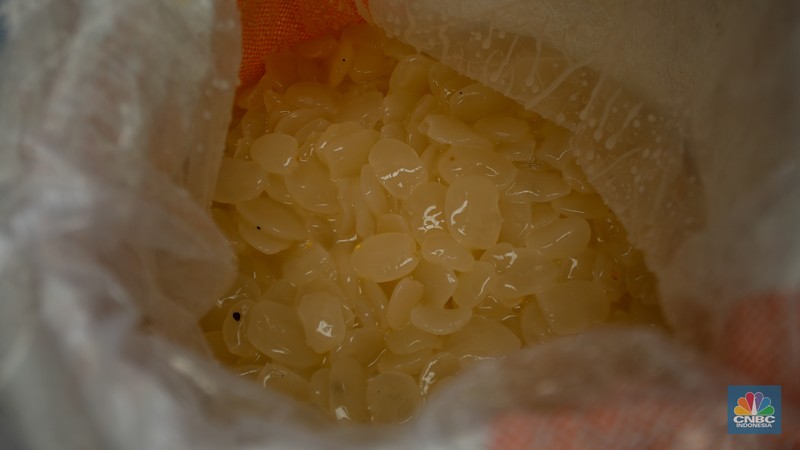 Pedagang menjuak kolang-kaling yang dijual di Pasar Induk Kramat Jati, Jakarta, Rabu (12/3/2025). Penjualan kolang-kaling yang menjadi salah satu menu untuk berbuka puasa mengalami penurunan dibanding bulan Ramadan tahun lalu. (CNBC Indonesia/Faisal Rahman) Pedagang menjuak kolang-kaling yang dijual di Pasar Induk Kramat Jati, Jakarta, Rabu (12/3/2025). Penjualan kolang-kaling yang menjadi salah satu menu untuk berbuka puasa mengalami penurunan dibanding bulan Ramadan tahun lalu. (CNBC Indonesia/Faisal Rahman)